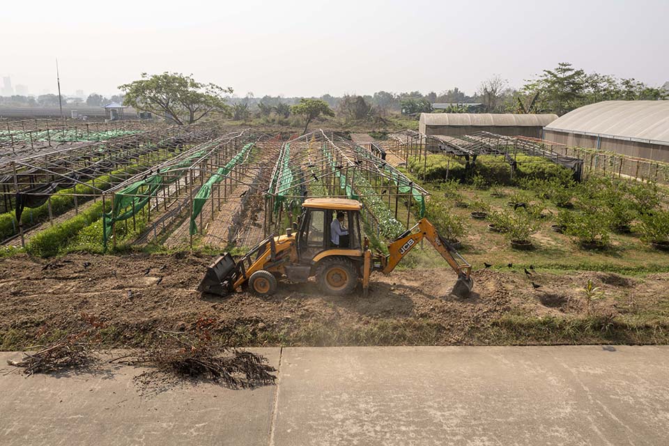 VeggieFarm_2024_00218.jpg
