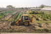 VeggieFarm_2024_00223.jpg