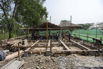 VeggieFarm_2024_00238.jpg
