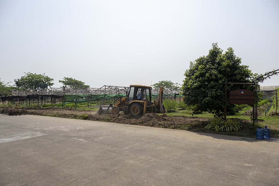 VeggieFarm_2024_00248.jpg