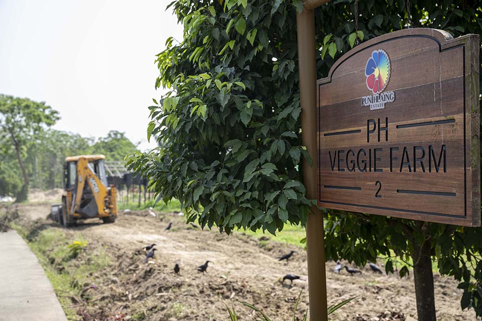 VeggieFarm_2024_00265.jpg