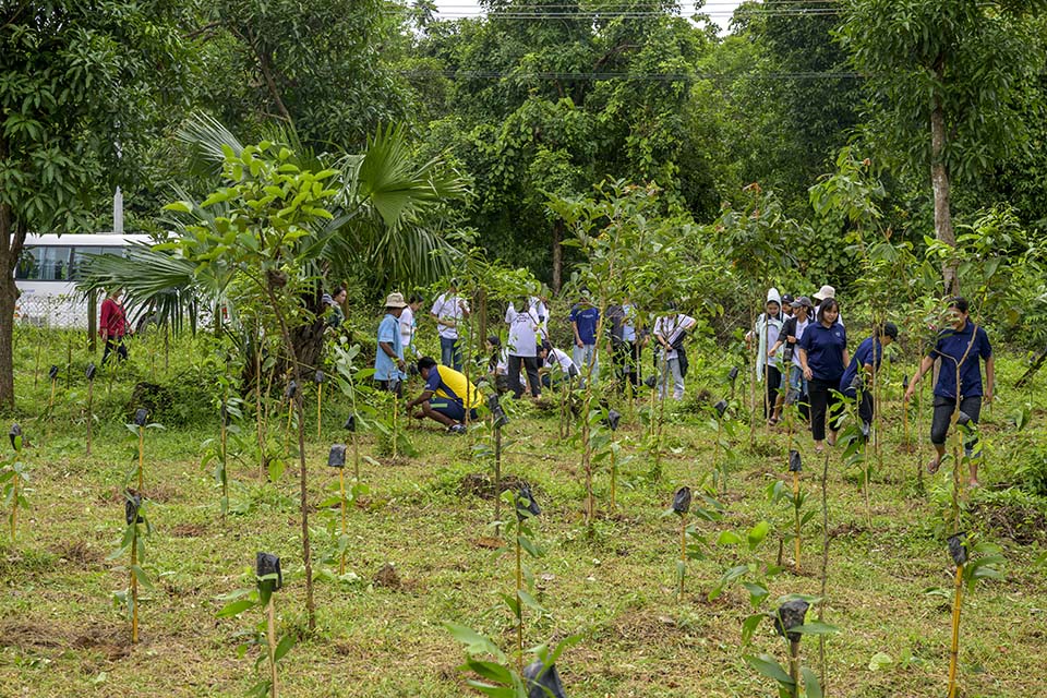 Sustainability_2026_01567.jpg