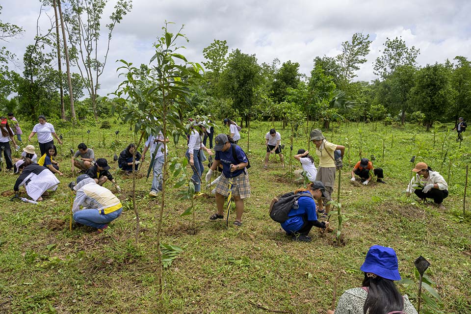 Sustainability_2026_01579.jpg