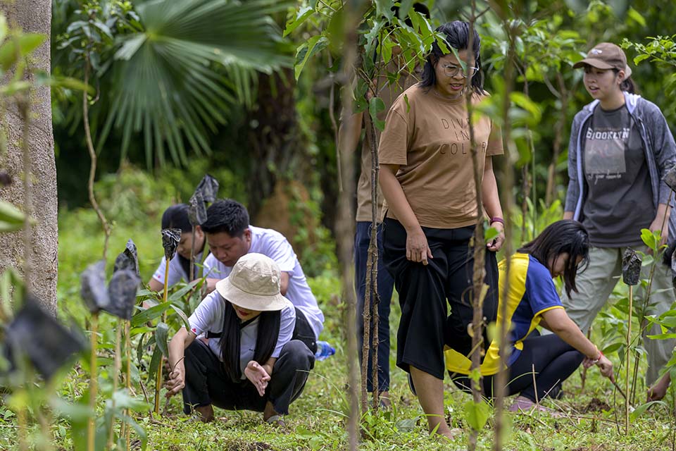 Sustainability_2026_01586.jpg