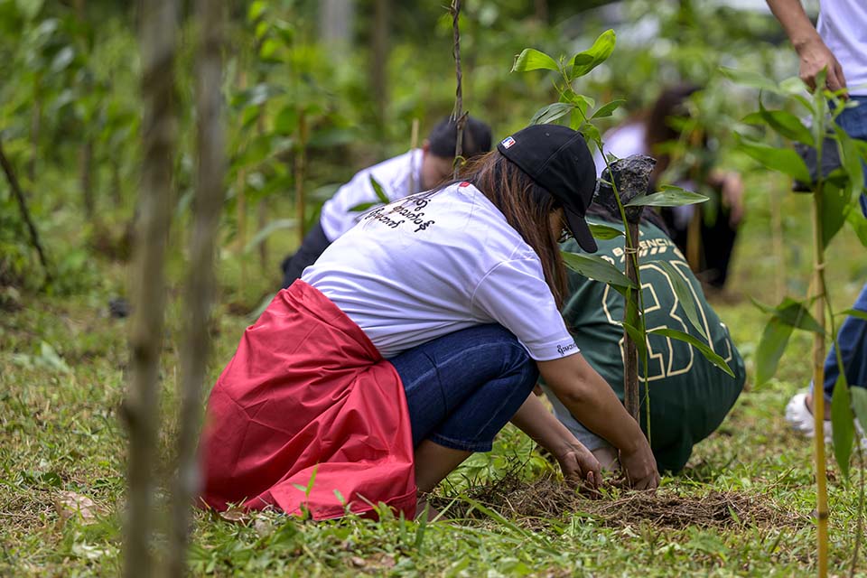 Sustainability_2026_01629.jpg