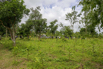 Sustainability_2026_01656.jpg