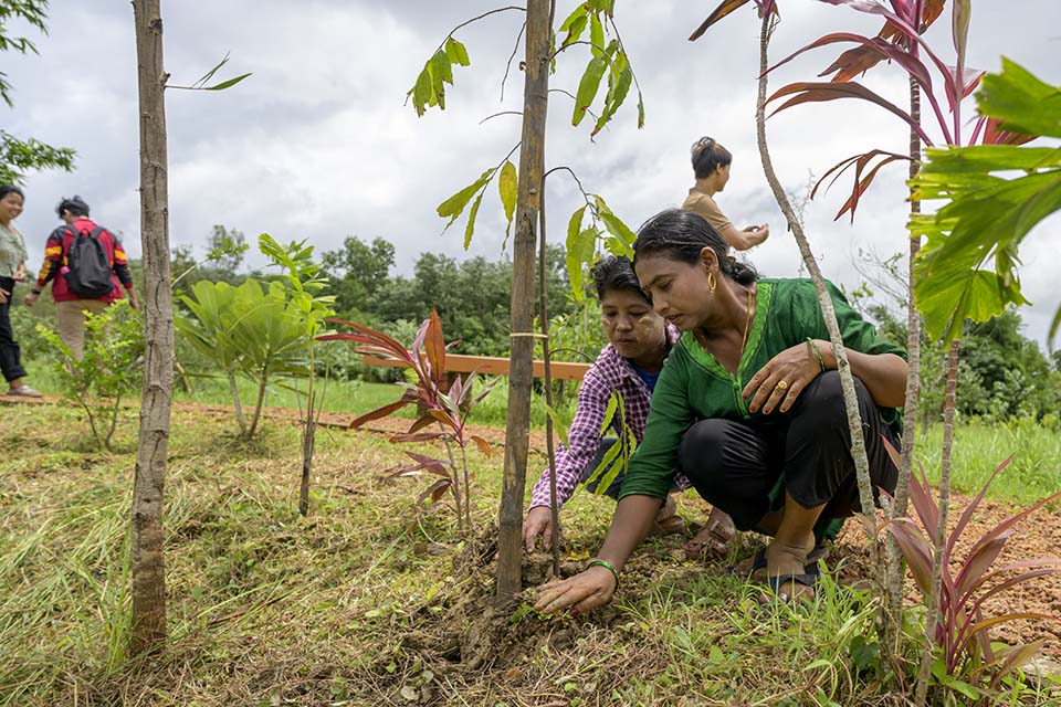 Sustainability_2026_01769.jpg