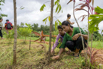 Sustainability_2026_01769.jpg