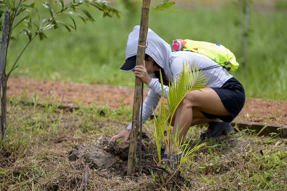 Sustainability_2026_01785.jpg