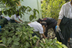YOMA_CSR_2024_02531.jpg