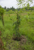 Sustainability_2025_01454.jpg