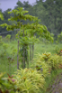 Sustainability_2025_01477.jpg