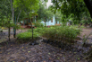 Sustainability_2025_01761.jpg