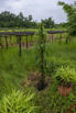 Sustainability_2025_01768.jpg
