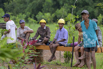 Sustainability_2025_01771.jpg