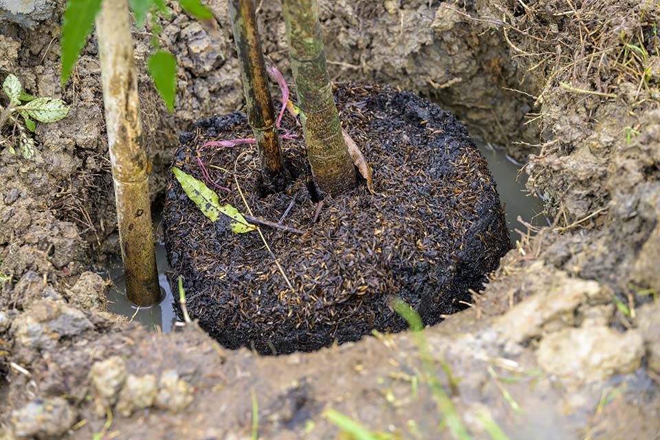 Sustainability_2025_01777.jpg