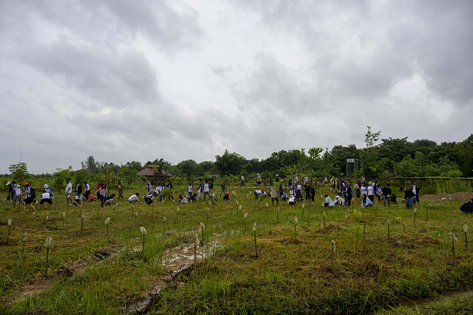 Sustainability_2025_01894.jpg