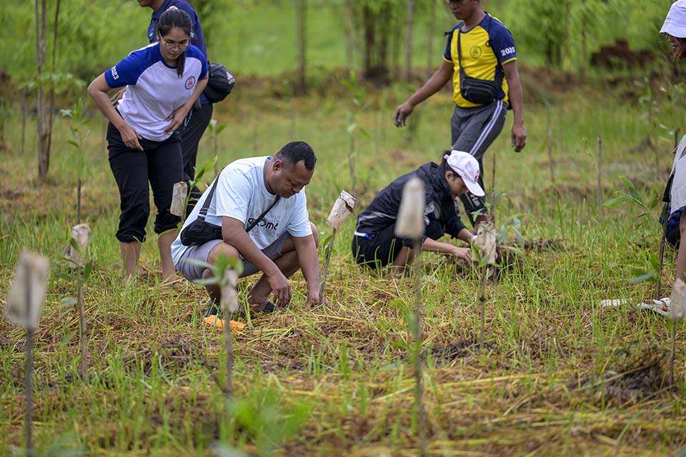 Sustainability_2025_01896.jpg