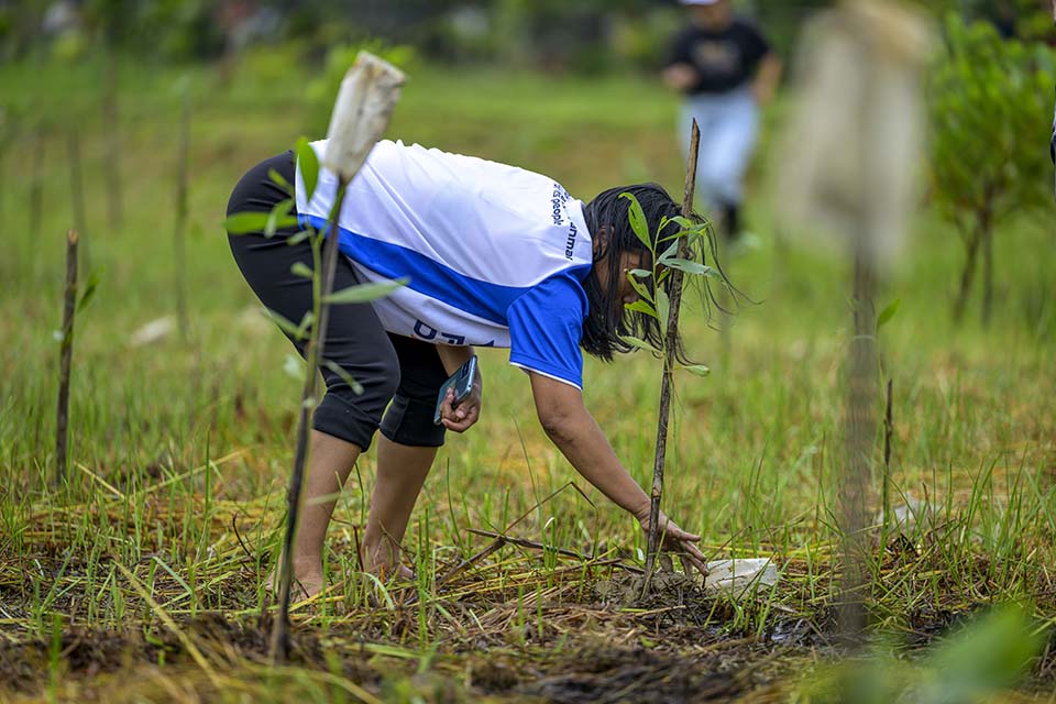 Sustainability_2025_01912.jpg