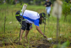 Sustainability_2025_01912.jpg