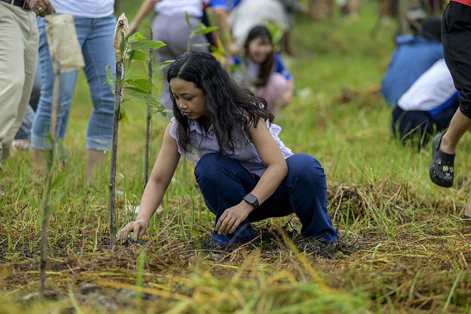 Sustainability_2025_01916.jpg
