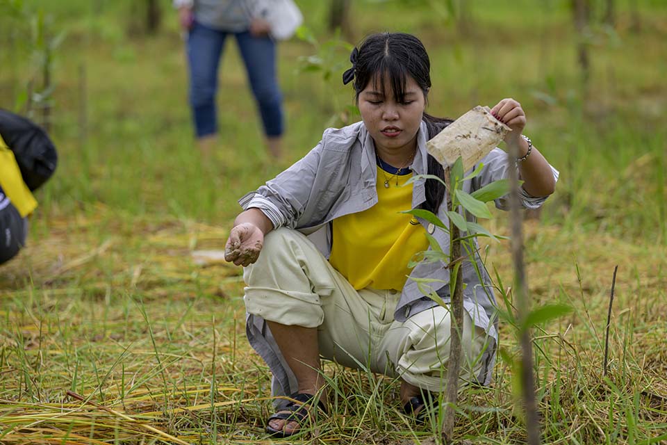 Sustainability_2025_01944.jpg
