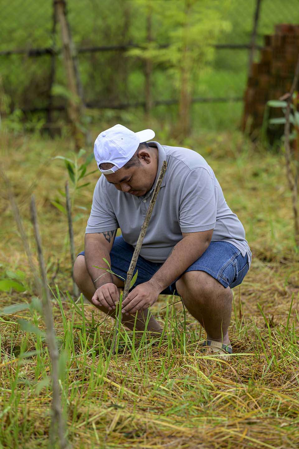Sustainability_2025_01974.jpg