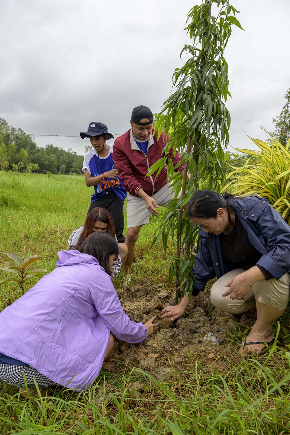 Sustainability_2025_02018.jpg