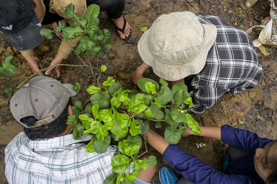 Sustainability_2026_00566.jpg