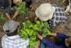 Sustainability_2026_00566.jpg