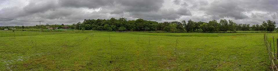 Sustainability_2026_00724-32.jpg