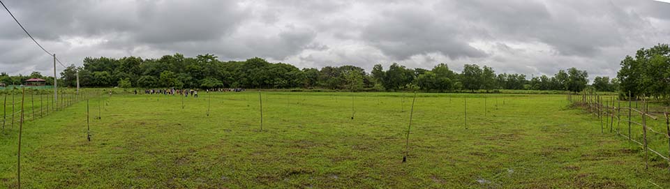 Sustainability_2026_00738-44.jpg