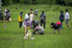 Sustainability_2026_00887.jpg
