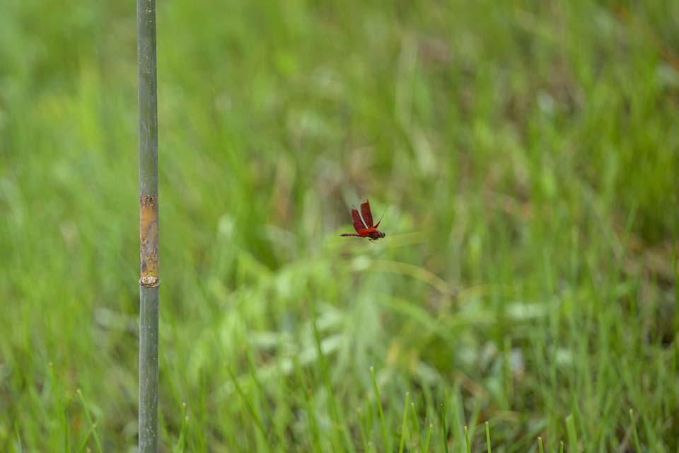 Sustainability_2026_00954.jpg