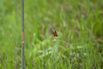 Sustainability_2026_00954.jpg
