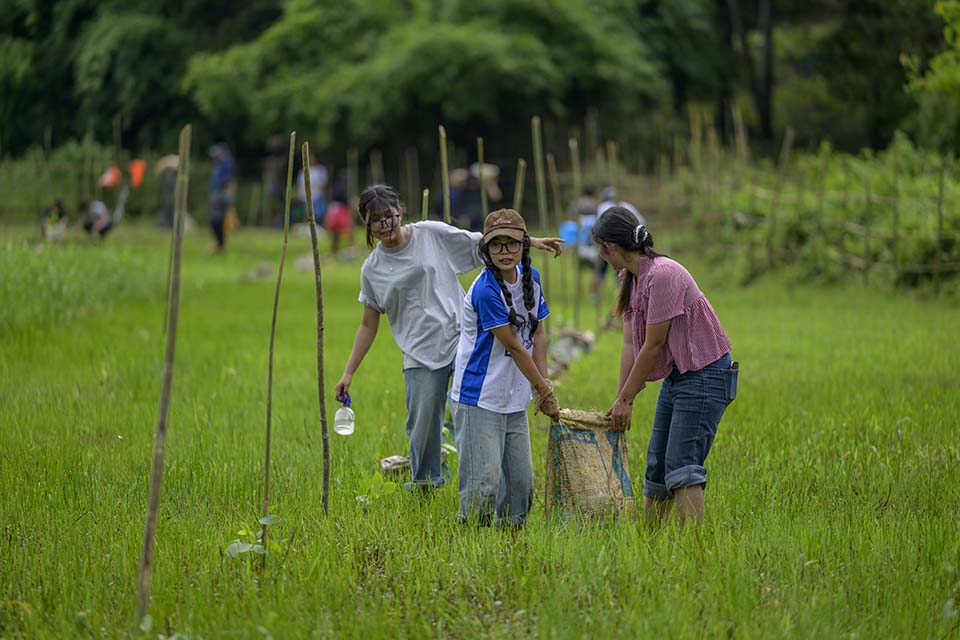 Sustainability_2026_00990.jpg