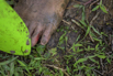 Sustainability_2026_01073.jpg