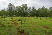 Sustainability_2026_00393.jpg