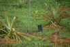 Sustainability_2026_00394.jpg