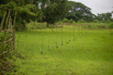 Sustainability_2026_00429.jpg