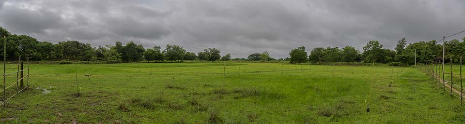 Sustainability_2026_00430-37.jpg