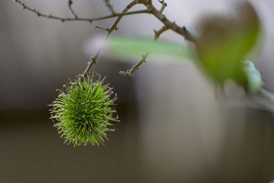 Sustainability_2026_00191.jpg