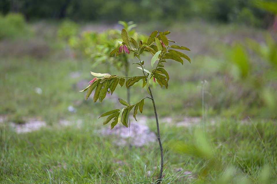 Sustainability_2026_00216.jpg