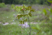 Sustainability_2026_00216.jpg