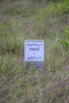 Sustainability_2026_00229.jpg