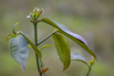 Sustainability_2026_00252.jpg