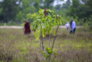 Sustainability_2026_00262.jpg