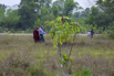 Sustainability_2026_00269.jpg