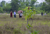 Sustainability_2026_00276.jpg