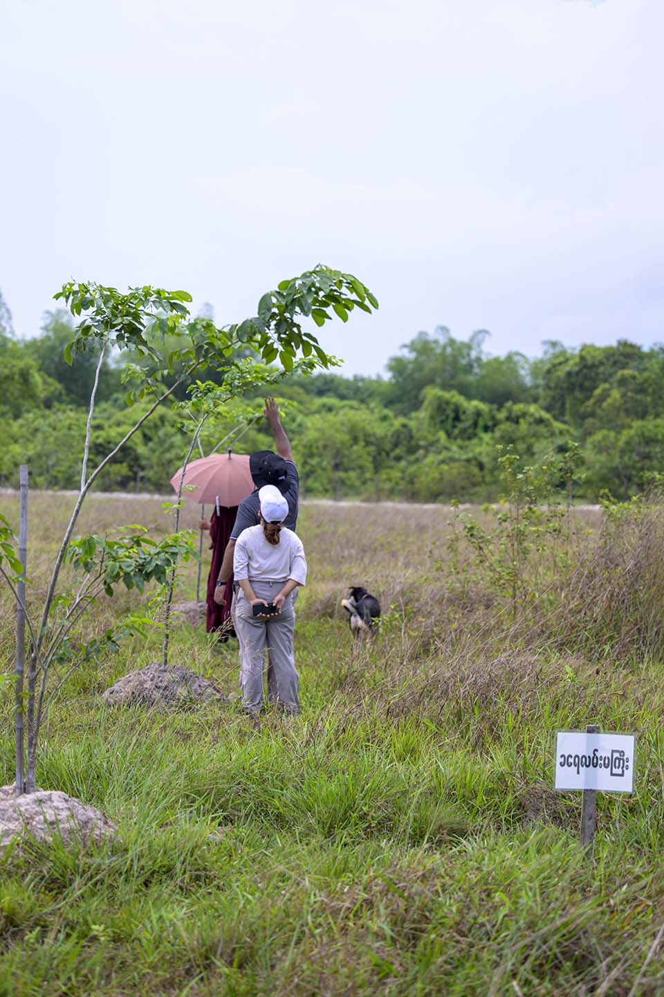 Sustainability_2026_00288.jpg